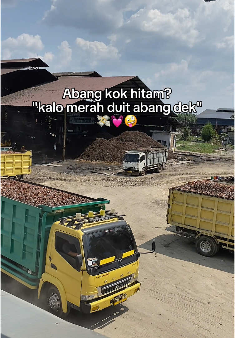 dek dek😝 #kulisawit #brondolansawet #fy #xyzbca @arief tolle @Febrian jayadi @DIDIK PUTRA 