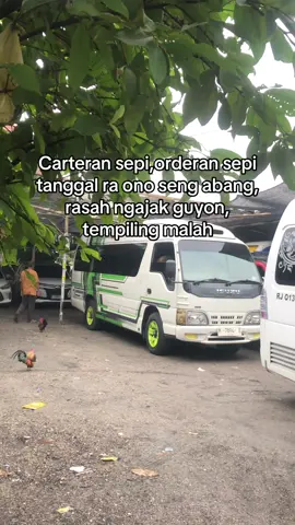 Lagi budrek iki gek ndang di ingfo😩😩#sewaelfmurah #kudus24jam #xyzbca #sewaelfkudus #drivermuda 