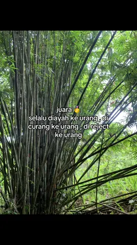 nya lapa😌😌#fypforyou #fypage #fypforyoupage #fypsarawak #xybca 