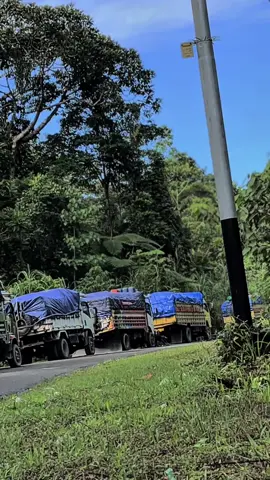#CapCut pinjam soundnya kanda🤭 #turatea #canter4x4 #transpapua #offroad4x4 #trukjayapura 