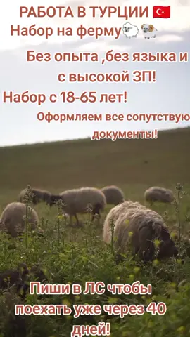 По подробностям пишите в ЛС! #работа #рекомендации #реки #работавтурции #хочуврек 