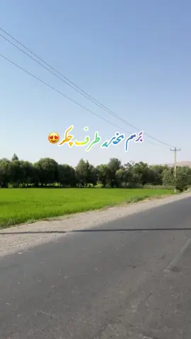 یکی  دیگری از بهترین روز ها کنار عزیزانم🤍🫶🏻 #لایک_فالو_یادتان_نره_عزیزان_دل❤️ #کندز #افغانستان #چکر #طبیعت 