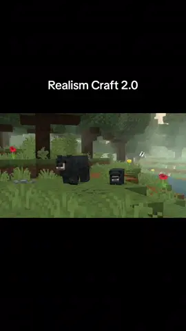 Realism Craft 2.0 Coming Soon!  .  .  .  Aug 26 2025