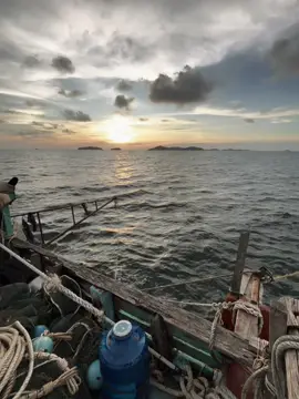 yêu thương nhau gì đâu…