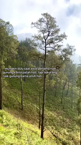 pdhl disepanjang jalan ngeluh kapok naik gunung😔 #pendakigunung #fyp #buthakviapanderman 