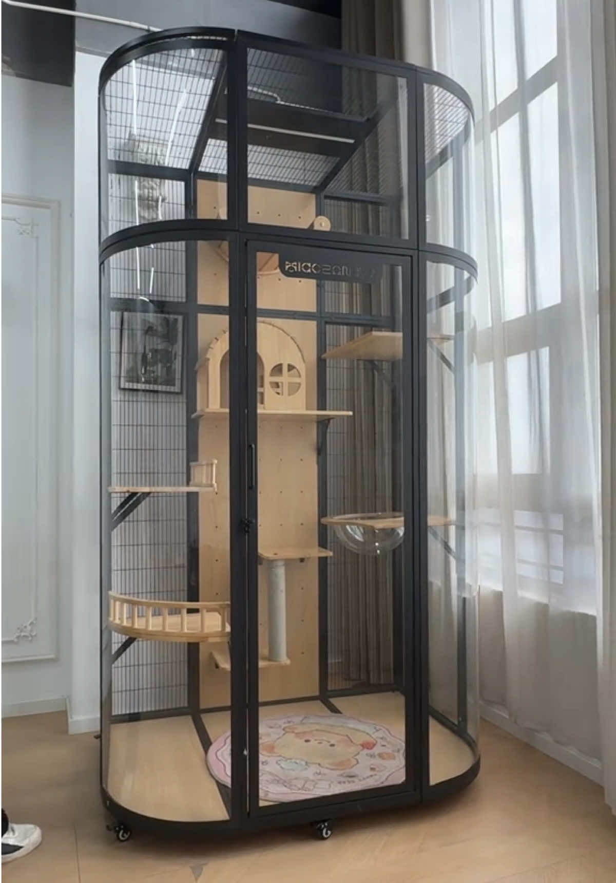 ✨ MiaoZan Premium Glass Cat Villa ✨ Luxury living for your fur baby — sleek design, spacious comfort, and built to last 🐾 📦 We ship worldwide! 🌍 🔗 Check the link in our profile to get yours today! #MiaoZan #CatVilla #GlassCatVilla #PetLuxuryHome #ForYourFurBaby #fyi #tiktokcats 
