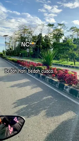 Bedah hari bedah cuaca☘️♻️#fyppppppppppppppppppppppp #papuapengunungan⛰️ #yahukimopapuapegunungan 