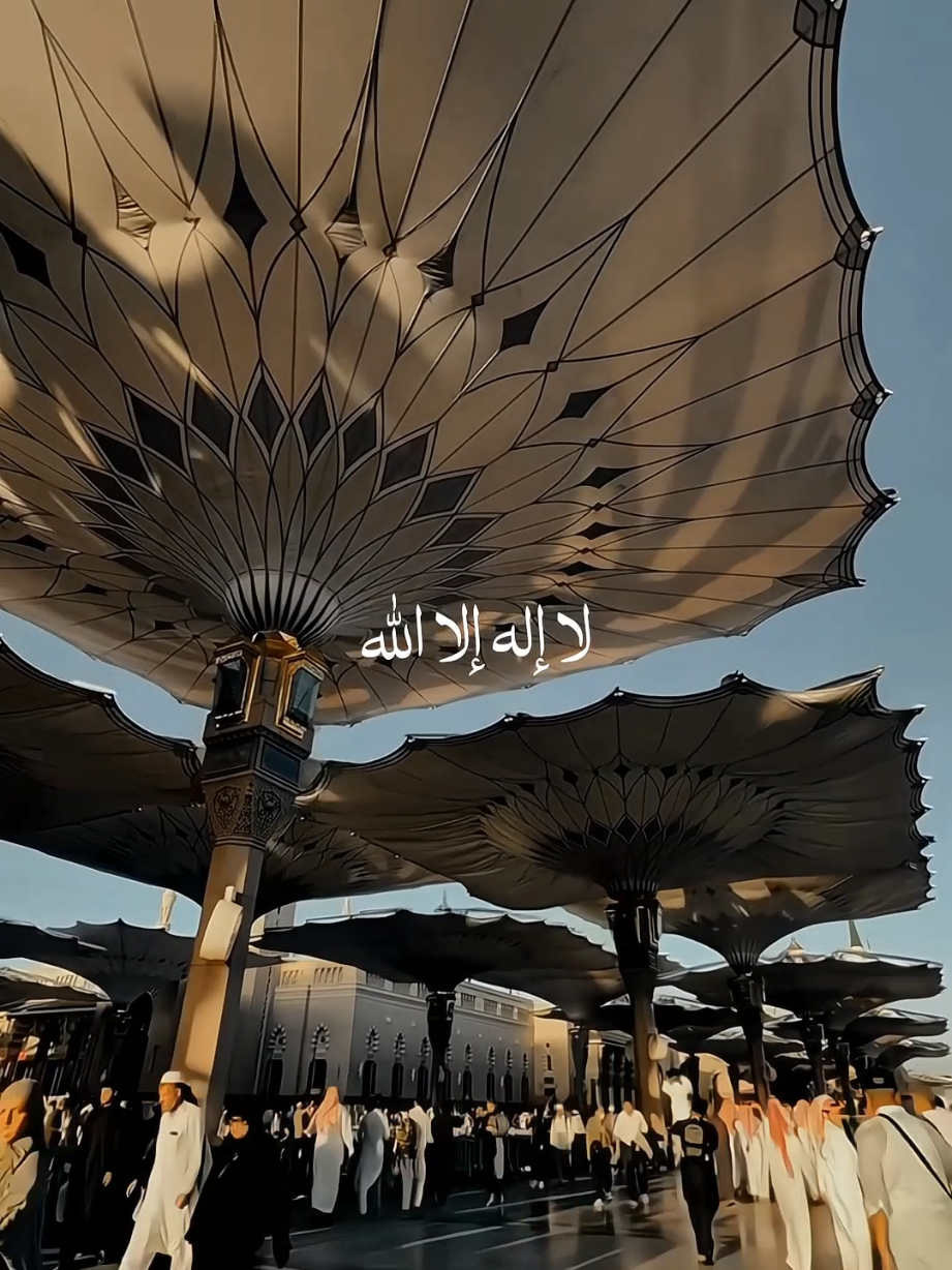 Hasbi Rabbi  . . . . #nasheed #islamicstatus #viralvideos #samiyusuf  #qalbibeats