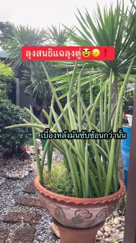 #เทรนด์วันนี้້ #ข่าวการเมือง #สนธิลิ้มทองกุล #ประยุทธ์ 