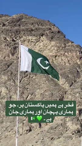 The Pakistani flag — a symbol of pride, faith, and freedom. 🇵🇰 #pakistanzindabad🇵🇰🇵🇰🇵🇰🇵🇰 #foryoupage #foryoupageofficiall #pakarmyzindabad💚🇵🇰💚 