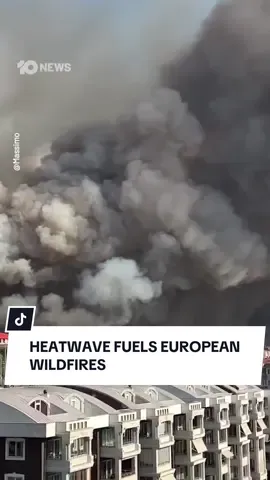 Wildfires continue to rage across parts of Europe as a heatwave pushes temperatures above 40°C. Videos shared on social media show residential areas and tourist hotspots in Spain, Portugal, Greece, and Turkey surrounded by intense flames. Scientists warn that climate change is driving hotter, drier Mediterranean summers, increasing the frequency and intensity of wildfires. Fires in Spain and Albania have killed two people, while a Hungarian farm worker is suspected to have died from the heat in Catalonia. More than 2,000 people were evacuated from Tarifa in southern Spain as flames spread through eucalyptus and pine forests. Authorities across several European countries continue to issue heat warnings. #europe #wildfires 