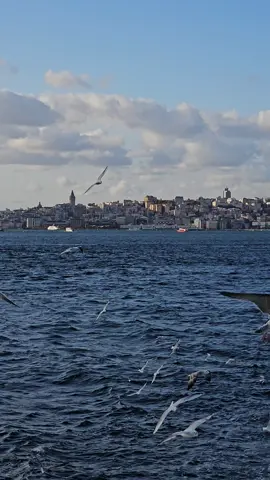 Kalp fazla acıyla ağırlaştığı zaman insan ağlamaz, sessizleşir..