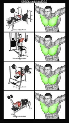 ✅ How to Build a Bigger Chest  ① Bench Press ② Pec Fly ③ Decline Bench Press ④ Dumbbell Fly 3 sets 12-15 reps  #Fitness #gym #exercise  #workout #workoutroutine         