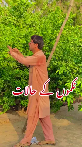 #@Ali Hydrabadi♥️ #@Amaar UstaD #