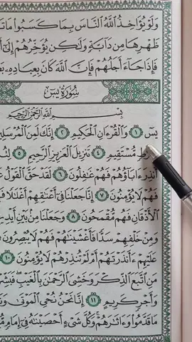 Surah Ya-Sin 📖 💔 #quran #quran_alkarim #fyp #fypシ #tiktok #viral #foryoupage #growmyaccount #unfrezzmyaccount 