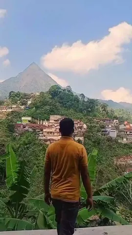 Jelajahi Desa ini dan Temukan keindahan yang Tersembunyi di setiap sudut Desa Tempur Jepara #desatempurjepara #puncak29 #creatorsearchinsights #jeparaviral #wisataalam #videotiktokviral #fyp #gunungmuria #desa #estetik #pemandanganalam #jepara 