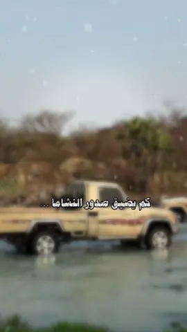 #العيدابي_بلغازي_فيفا_هروب_بني_مالك #اكسبلورexplore #ربع_شاصات_كبسولات_فلاتر #لايك_متابعه_اكسبلور 