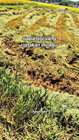 #fypシ゚ #sotrywhatsap #Lolangtongke🎭 #siapa lagi yang ciptakan ini lagu #katakatabugis #fypppp 