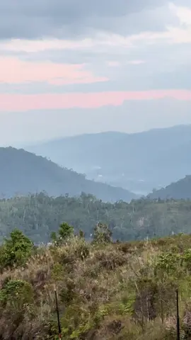 #tambingsulteng 