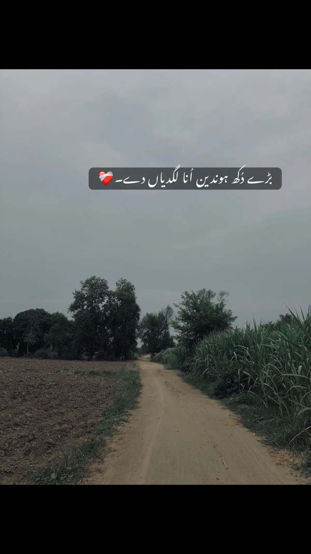 #foryou #poetry #پنجابی۔ڈوھڑے #trending #viralvideo #lines #🥀 #pind #پنجاب #💯 
