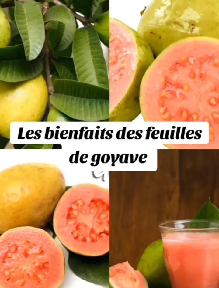 #tiktokcanada🇨🇦  #tiktokcanada #tiktoksuisse🇨🇭 #tiktokfrance🇨🇵 #tiktokbelgique🇧🇪 