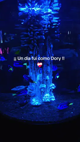 #amorprpio❤️😍 #paratiiiiiiiiiiiiiiiiiiiiiiiiiiiiiiiiii🦋 #sanando #diosteama  Al final Dios me saco de donde no tenía que estar ❤️‍🩹