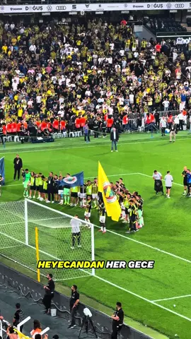 Günaydın büyük Fenerbahçe ailesi! 💙💛 #Fenerbahçe #fenerultras #Fener #Fenerbahce
