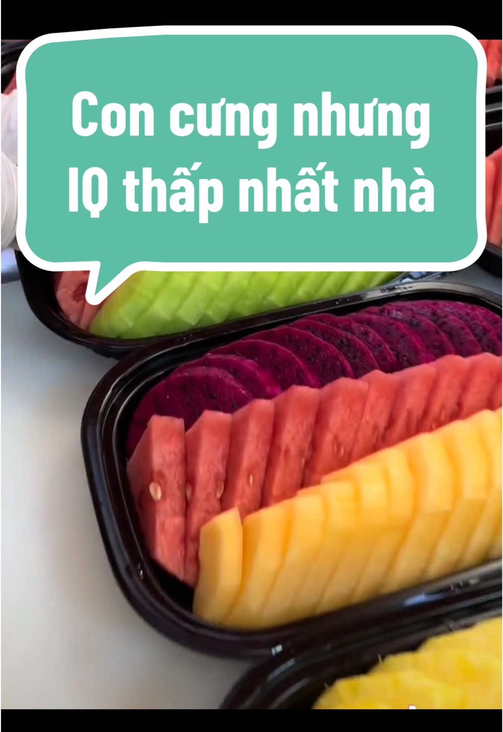 Tôi là người có IQ thấp nhất nhà #xh #tiktok #kechuyen #review #ocd