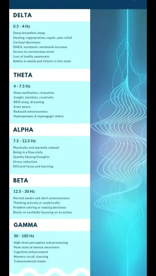 Gelombang otak theta adalah salah satu dari lima jenis gelombang otak yang diukur berdasarkan frekuensinya dalam satuan Hertz (Hz). Gelombang theta memiliki rentang frekuensi 4-8 Hz dan biasanya terkait dengan kondisi tidur ringan, relaksasi mendalam, meditasi, dan juga saat bermimpi.  Berikut beberapa poin penting tentang gelombang otak theta: Frekuensi: Gelombang theta berosilasi antara 4 dan 8 Hz.  Kondisi: Gelombang ini muncul saat tidur ringan, mengantuk, relaksasi mendalam, meditasi, dan juga saat bermimpi.  Fungsi: Theta dikaitkan dengan peningkatan memori, pembelajaran, intuisi, dan juga pemrosesan informasi.  Kondisi emosional: Gelombang theta juga dapat muncul dalam kondisi kecemasan, aktivasi perilaku, dan inhibisi perilaku.  Efek: Gelombang theta yang optimal dapat menghasilkan pikiran yang lebih rileks, tenang, dan stabil secara emosional.  Kelebihan: Gelombang theta juga dikaitkan dengan peningkatan kreativitas, kemampuan belajar, dan memori jangka panjang.  Kekurangan: Aktivitas theta yang berlebihan dapat menyebabkan kesulitan fokus dan berkonsentrasi, serta perasaan mudah bosan dan malas. 