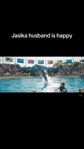 MY wife is back don’t sprid fack news  #orcas#viralvideo#viral#viraltiktok#dolphin