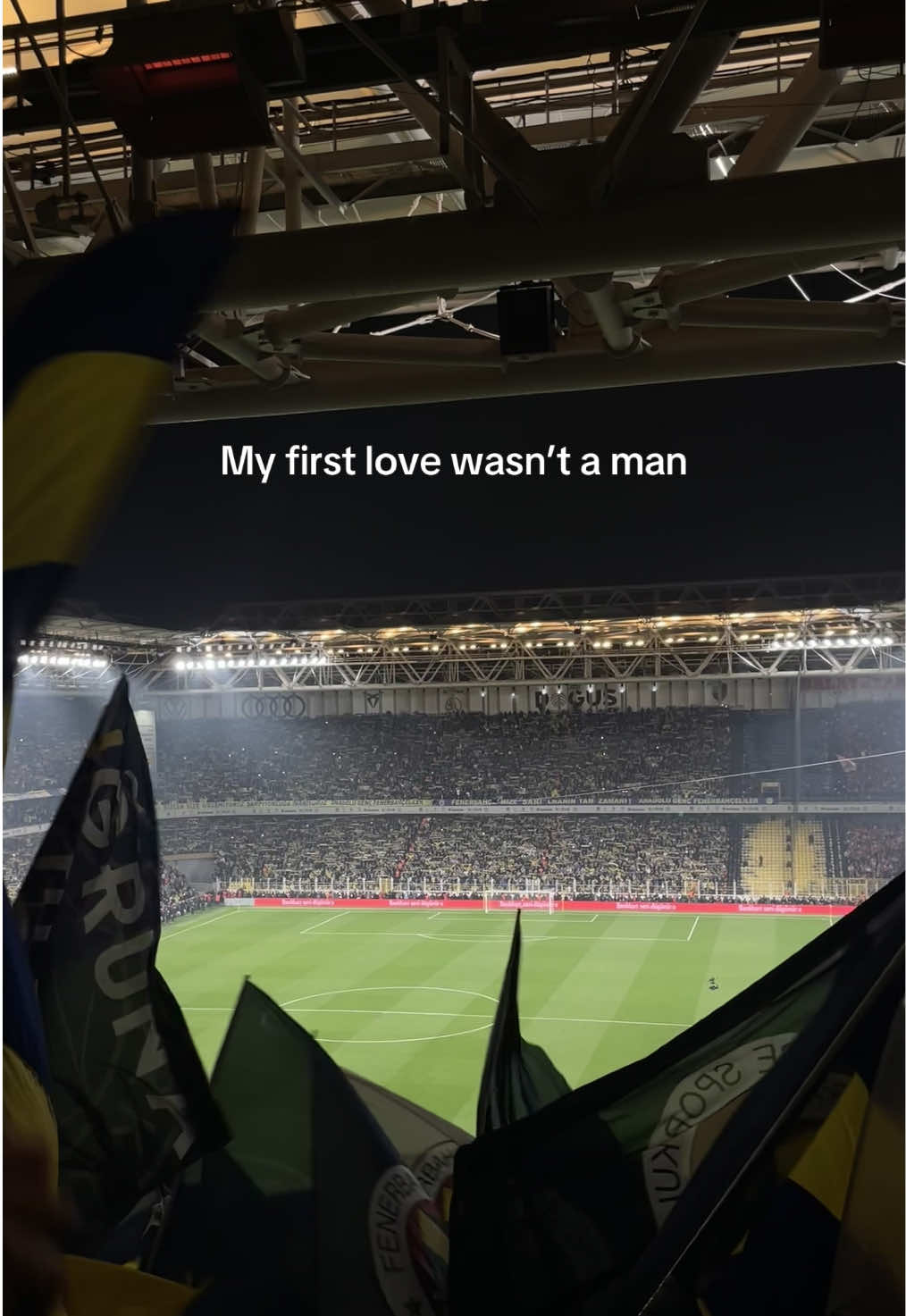 C2 seviye Fenerbahçelilik 