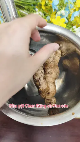 Dầu gội Clear Gừng Hoa cúc #clear #cleargunghoacuc #daugoithaoduoc #daugoithiennhien #hoptaccungUnilever