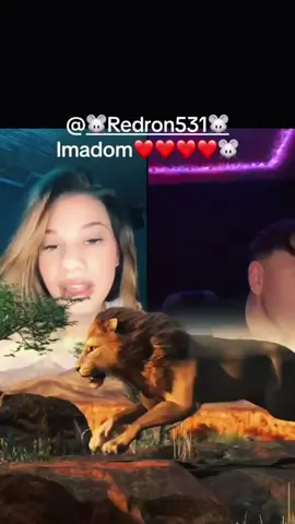 @🐭Redron531🐭 Hadvezér❤️🤪🤌🏼 #foryoupage❤️❤️ #foryou #fy #fyp #fypagee 