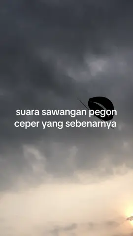 👱🏿‍♂️#pegoncepertulungagung #pegonbalap #pegontulungagung #bakollayangan #fypシ 