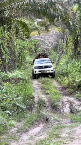 main lumpur #drivermuda #sawitontiktok #hilux4x4 #4upage #fyppppppppppppppppppppppp 