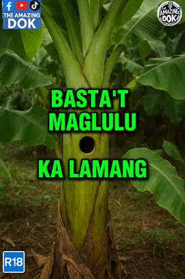 BASTAT MAGLU2 KA LAMANG