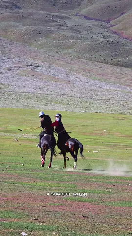 Guess the Players? 📍Shandur Polo Festival 2025🏆 #ShandurFestival2025 #EquestrianSport #PoloLife #freestylepolo #gameofspeed #shandur2025 