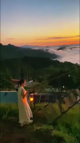 📸 “Khách em chill quá akkk ~ săn mây đỉnh cao, vibe cực thơ!” ☁️🌞#tăkpổ #BìnhYênNơiCao #sănmâytràtập #NamTràMy 