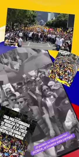 #viral #correismonuncamas #elseñorbolainas #danielnoboa #anticorreismo 