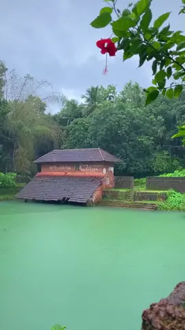 ഓർമ്മകളിലേക്ക് ഒരിക്കൽ കൂടി മുങ്ങാങ്കുഴി ഇടാൻ മനസ്സ് കൊതിക്കുന്നത് എനിക്ക് മാത്രമാണോ...!!!💜❤️💙