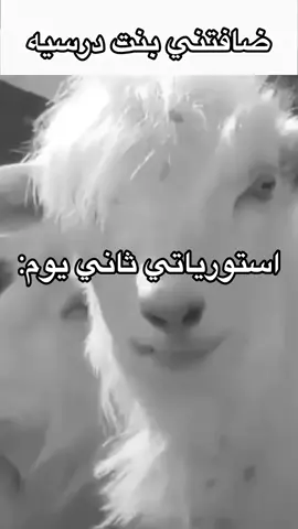 #ليبيا🇱🇾 #fffffffffffyyyyyyyyyyypppppppppppp #typ #fyp #foryoupage 