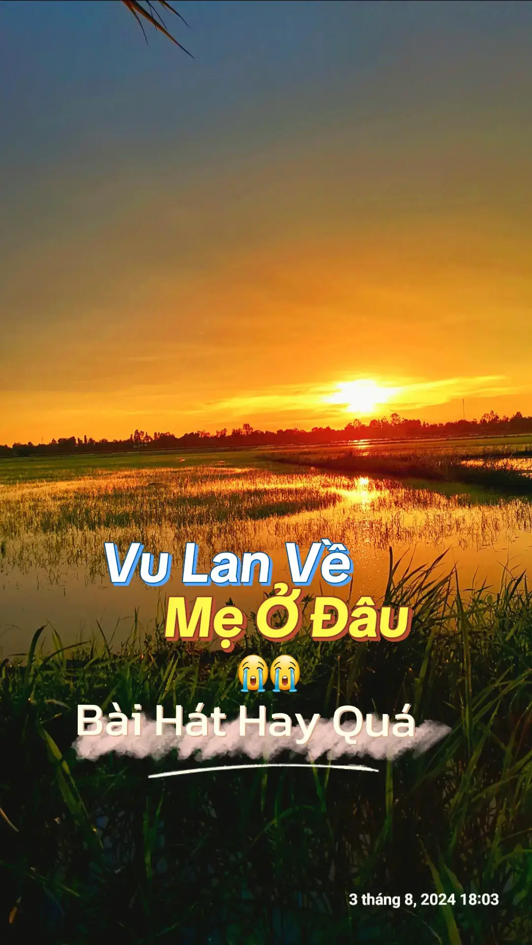 #xuhuong #quehuongmientay #nhachaymoingay #tiktok 