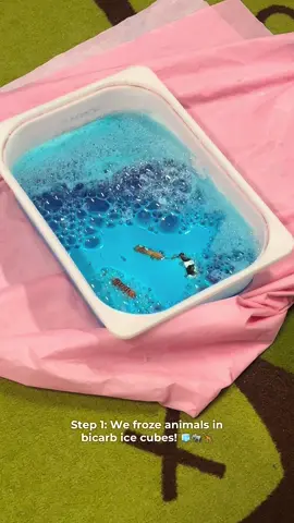 Fizzy animals in action! 🐘🦒🐒💥  Bicarb + vinegar = hands-on science magic 🧪✨  Watch the fizz & fun unfold! 💧🎉  #ScienceWeek #FizzyFun #EarlyLearning #STEMForKids #SensoryPlay    