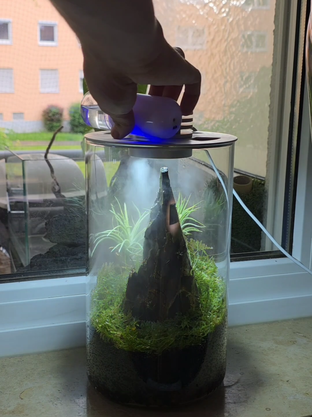 Building a beautiful nano Terrarium in 2 easy steps 