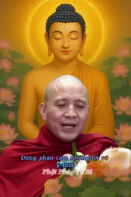 Đừng phản cảm những lời vô ý thức .Đừng để lòng bực tức chuyện vu vơ…🙏🥺#phatphapnhiemmau #phatphap #xuhuongtiktokk #LearnOnTikTok #vụnvỡ #phatphaptubi 