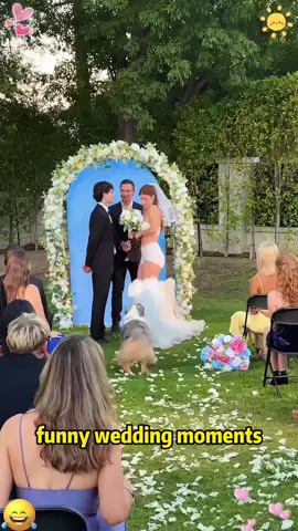 When the Dog Totally Wrecks the Wedding#funny #fail #puppy #dog #wedding #Love #groom #bride#JhoanDuran #MLBTradeDeadline #Phillies #BaseballUpdates #SportsNews#usa🇺🇸 #usa
