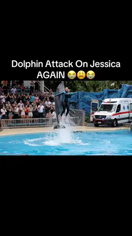 Again Dolphin Attack Jessica Today 13 Aug #foryoupage❤️❤️ #jessica #dolphins #attack #viral 