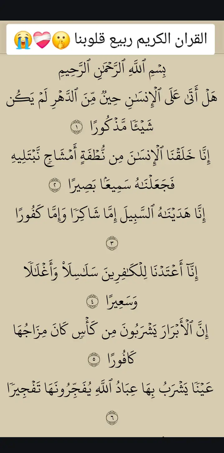 #اللهم اجعل القرآن ربيع قلوبنا ❤️‍🩹❤️‍🩹🤲🤲