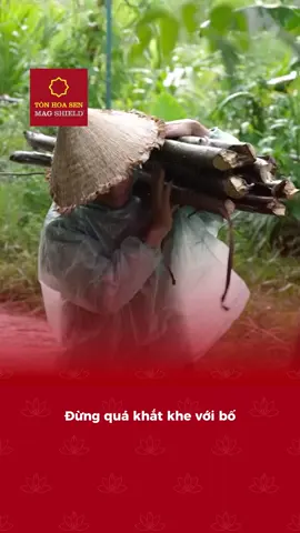 Đừng quá khắt khe với bố, vì bố cũng chỉ là người bình thường nhưng bình thường một cách vĩ đại. Em Phi Dung - Mái ấm gia đình Việt tập 146 #hoasengroup #hoasenhome #tonhoasen #maiamgiadinhviet #hshpu 
