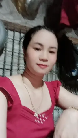 chúc cả nhà buổi chiều vv 🥰🥰🥰
